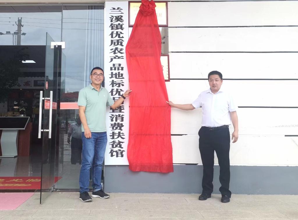 国产精品va在线观看不