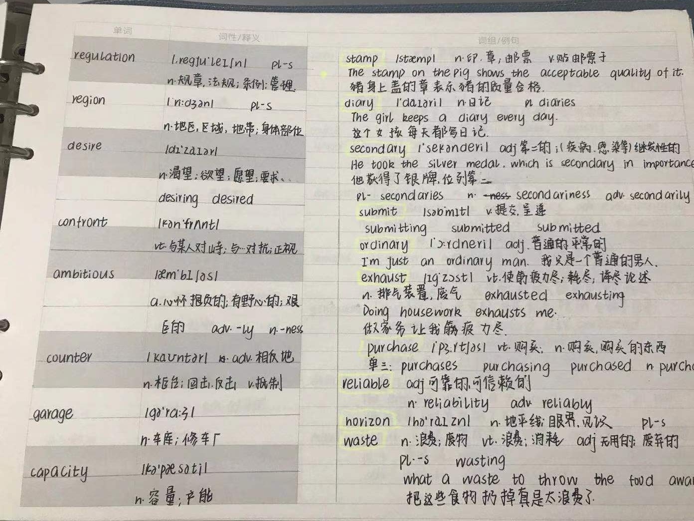 国产精品va在线观看不