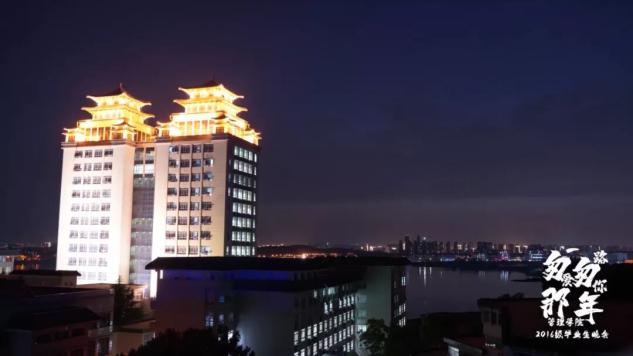 国产精品va在线观看不