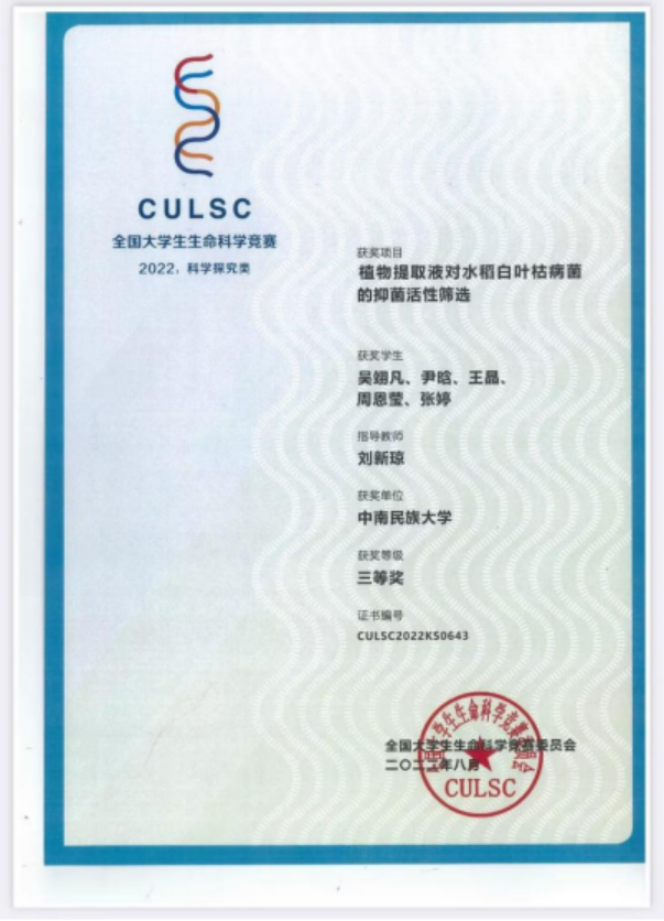 国产精品va在线观看不