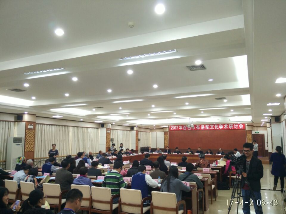 国产精品va在线观看不