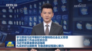 国产精品va在线观看不