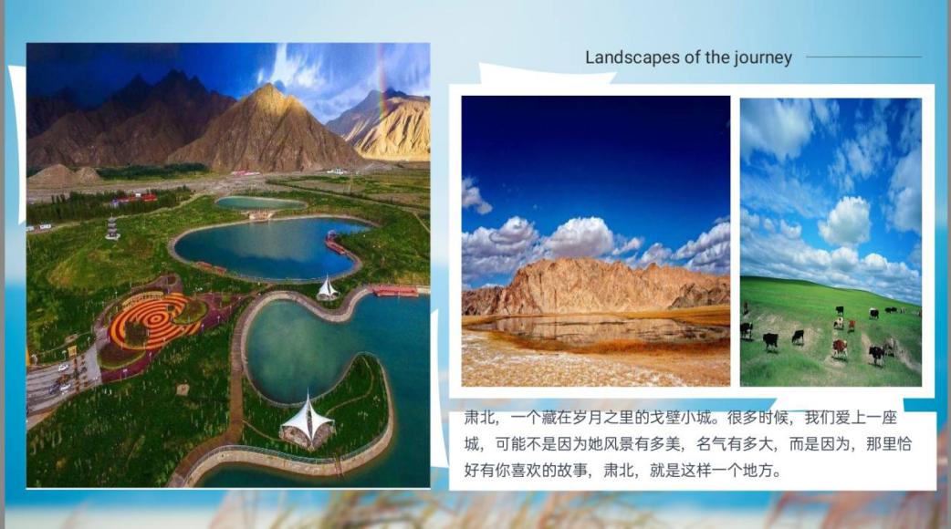 国产精品va在线观看不