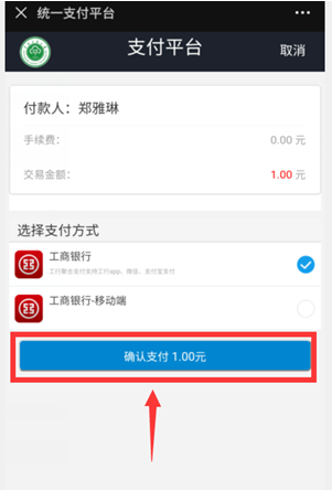 国产精品va在线观看不