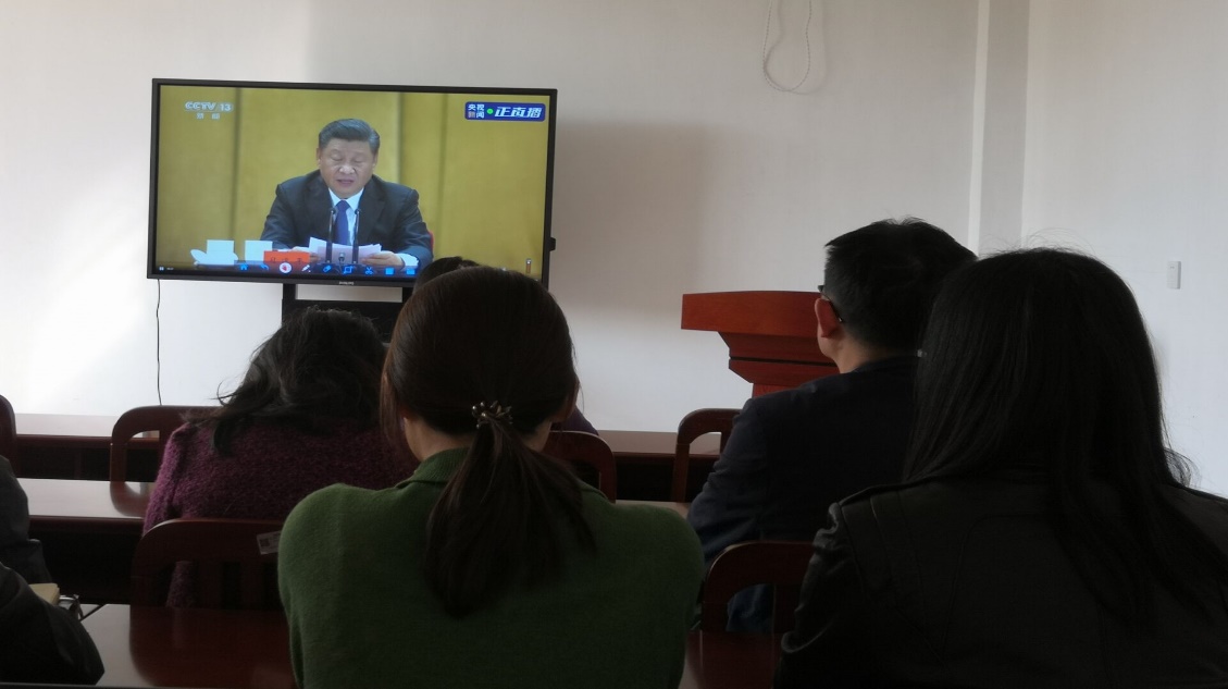 国产精品va在线观看不
