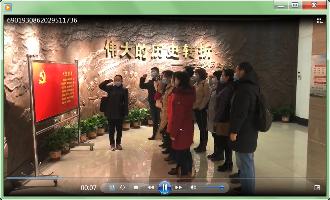 国产精品va在线观看不