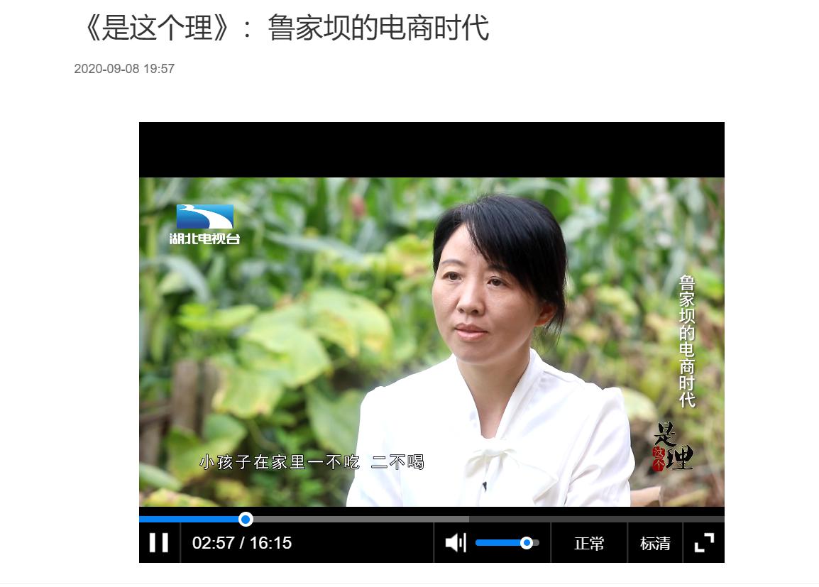 国产精品va在线观看不