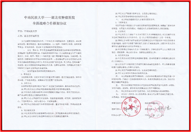 国产精品va在线观看不