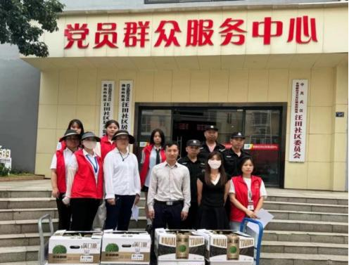 国产精品va在线观看不