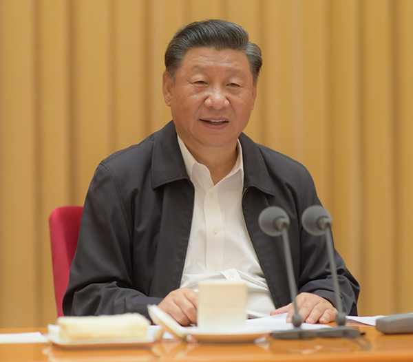 国产精品va在线观看不