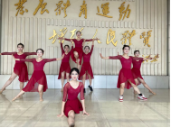 国产精品va在线观看不