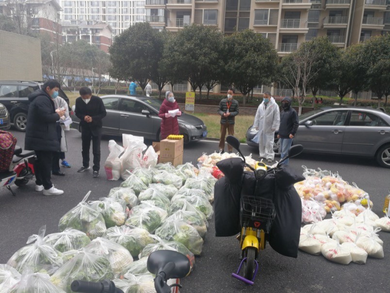 国产精品va在线观看不