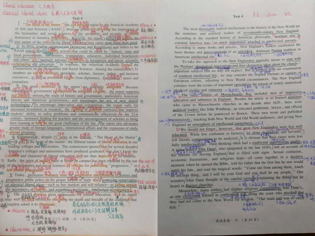 国产精品va在线观看不
