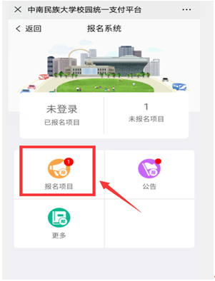 国产精品va在线观看不
