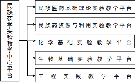 国产精品va在线观看不