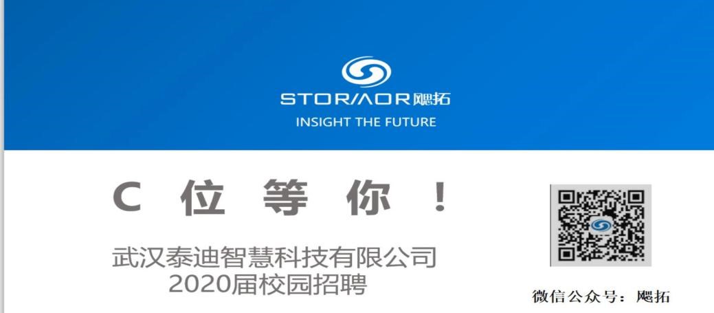 国产精品va在线观看不