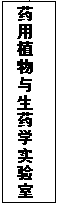 国产精品va在线观看不