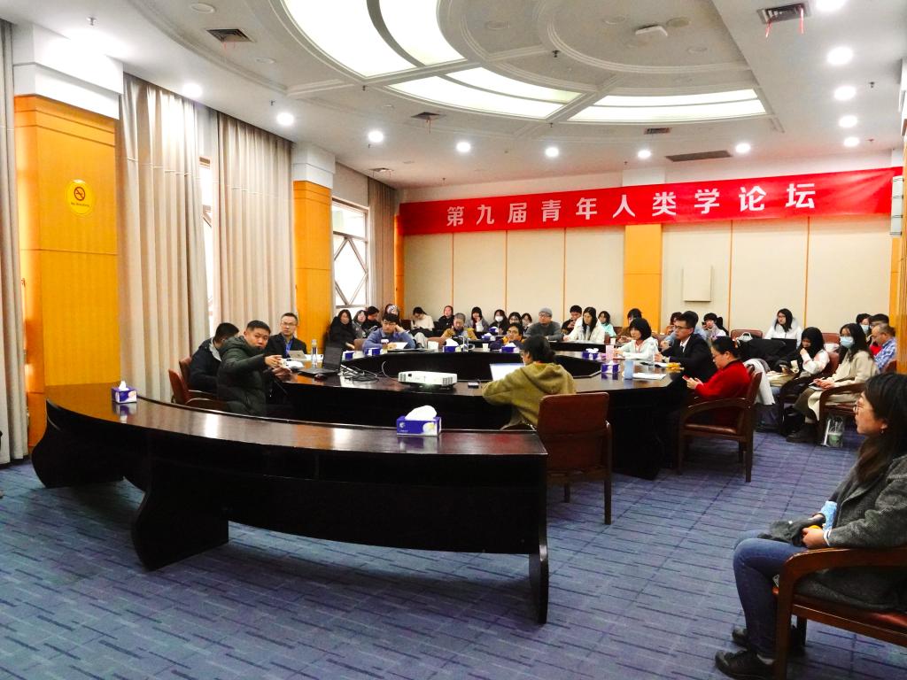 国产精品va在线观看不