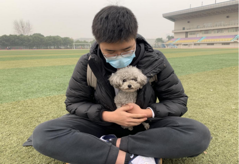 国产精品va在线观看不