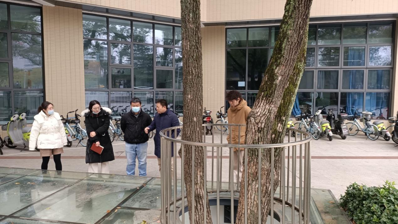 国产精品va在线观看不