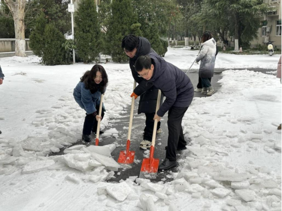 国产精品va在线观看不