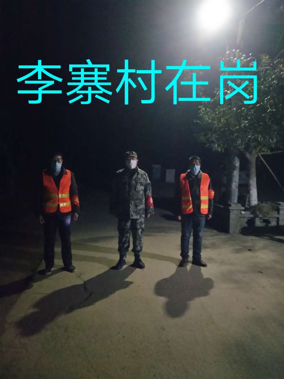 国产精品va在线观看不