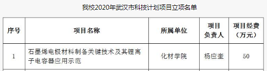 国产精品va在线观看不