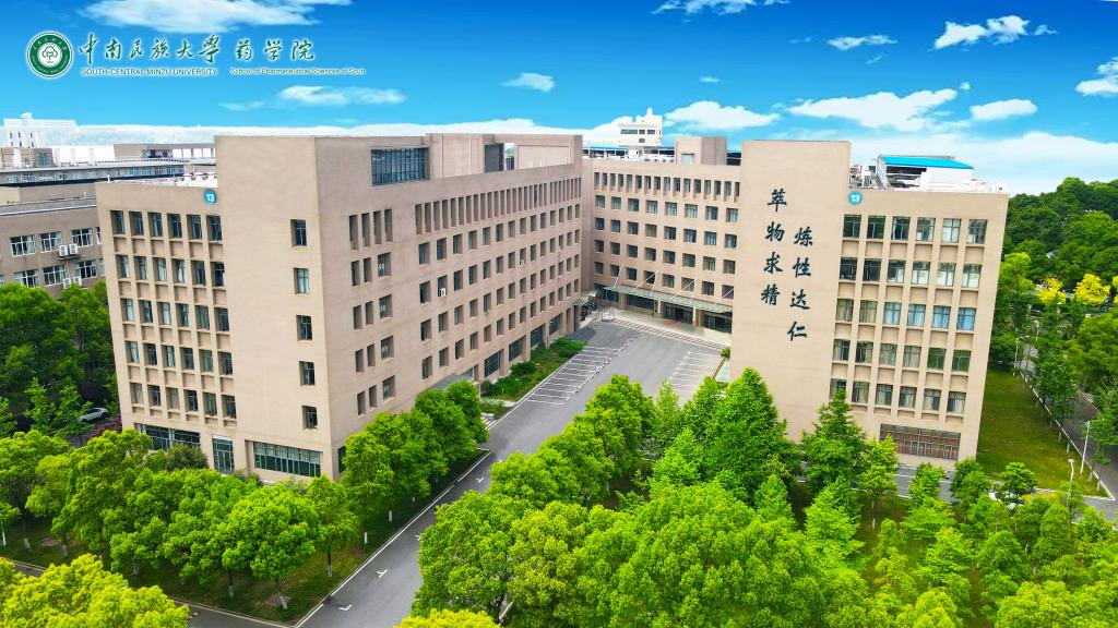 国产精品va在线观看不