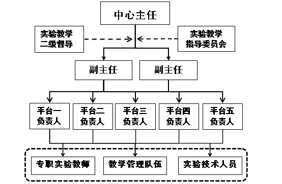 国产精品va在线观看不
