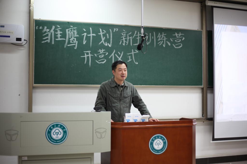 国产精品va在线观看不