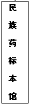 国产精品va在线观看不