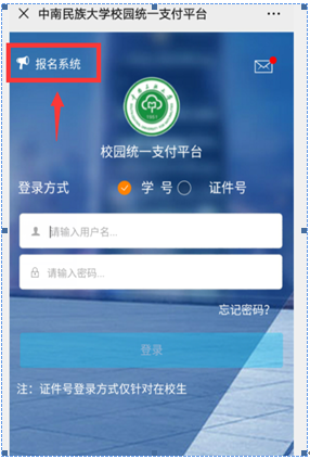 国产精品va在线观看不