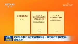 国产精品va在线观看不