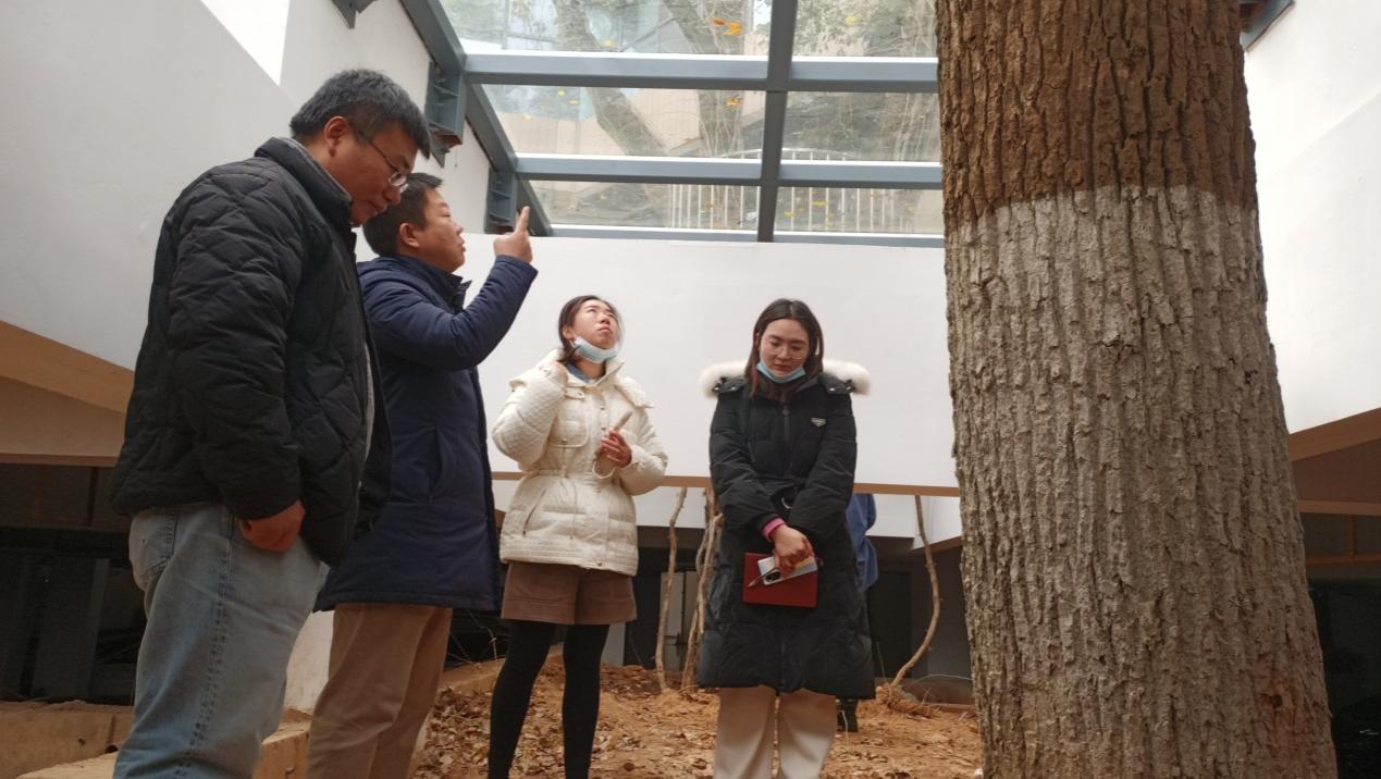 国产精品va在线观看不