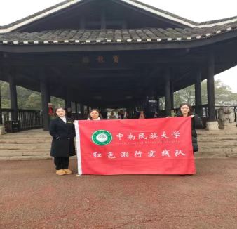 国产精品va在线观看不