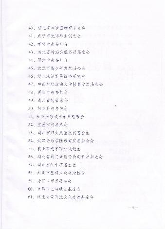 国产精品va在线观看不