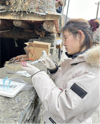 国产精品va在线观看不