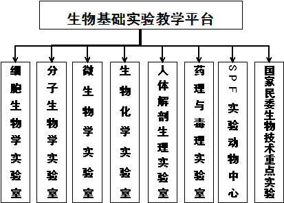 国产精品va在线观看不