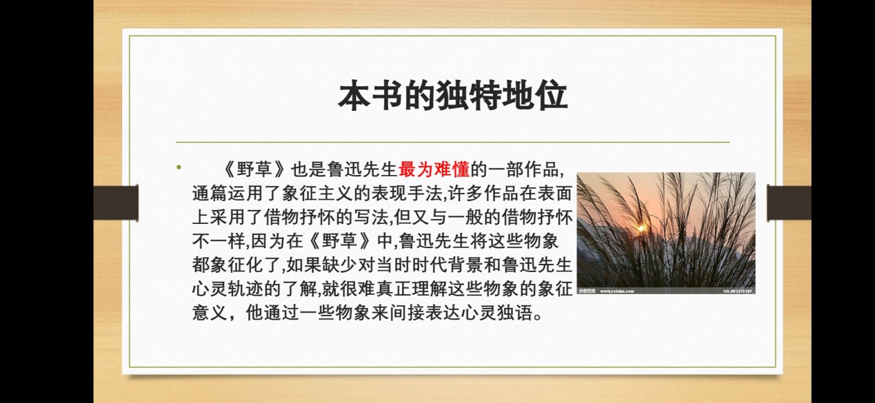 国产精品va在线观看不