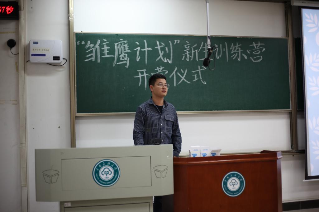 国产精品va在线观看不