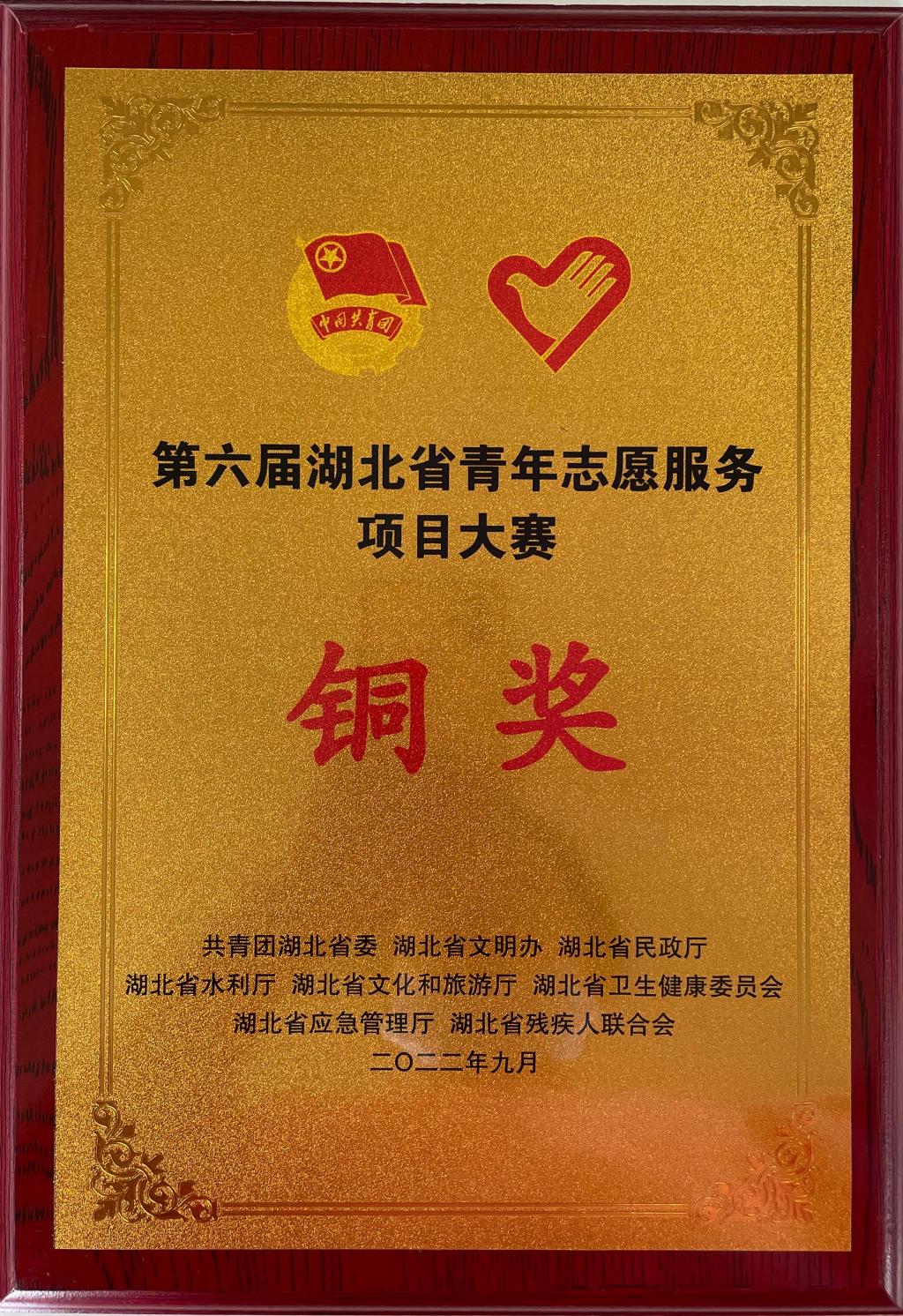 国产精品va在线观看不