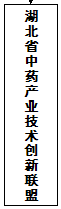 国产精品va在线观看不