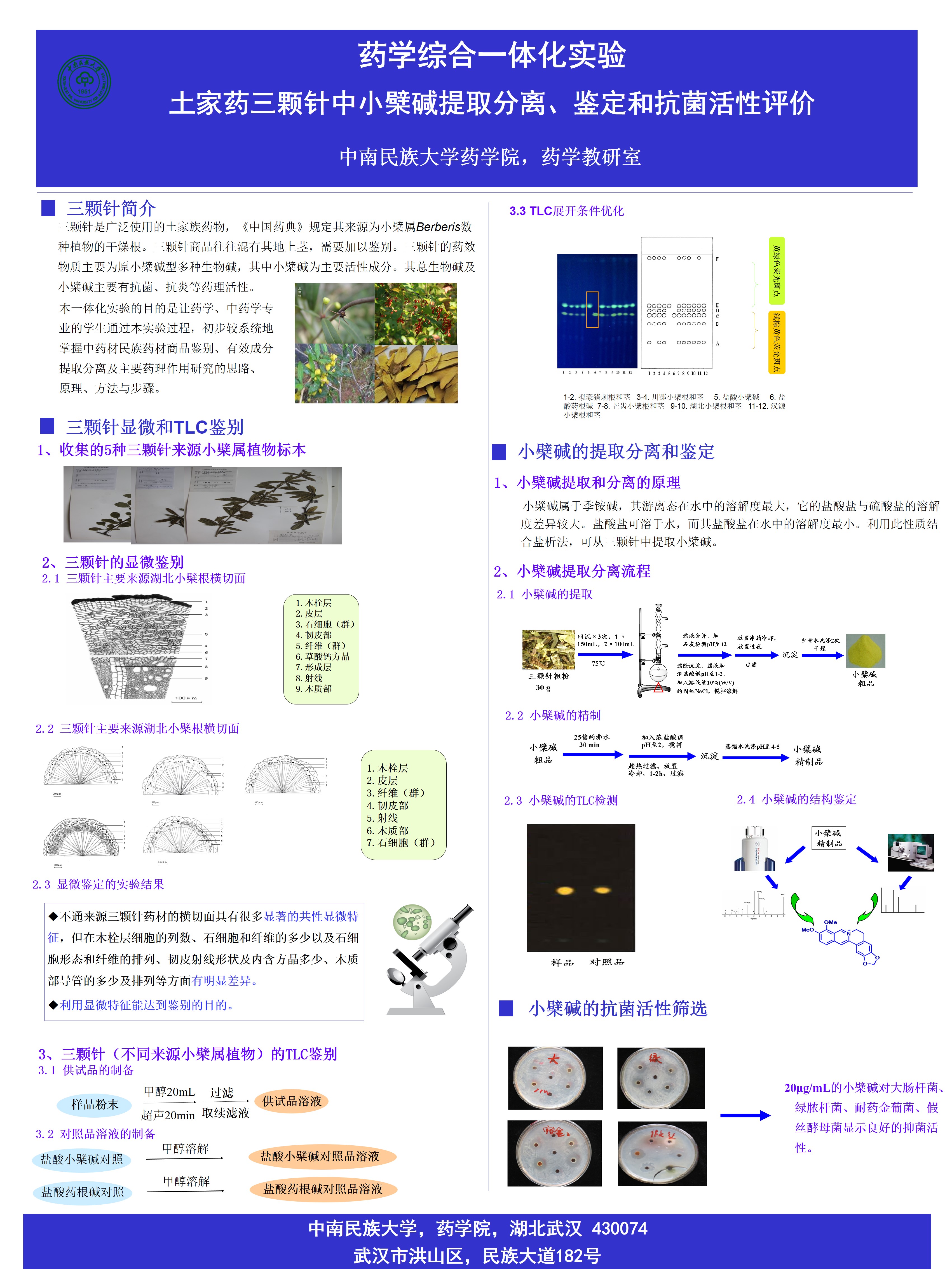 国产精品va在线观看不