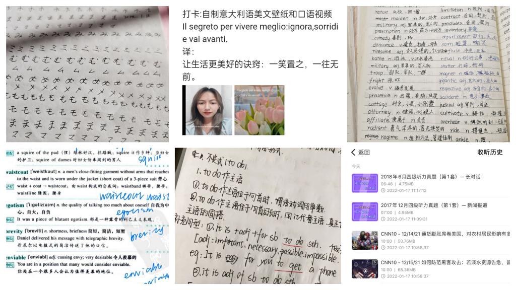 国产精品va在线观看不