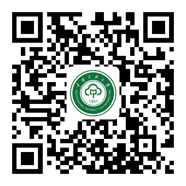 国产精品va在线观看不