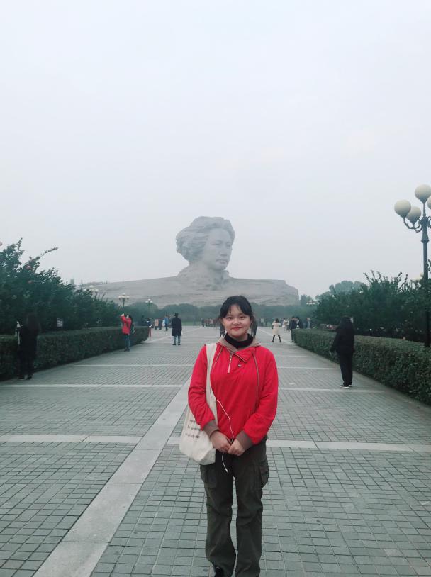 国产精品va在线观看不
