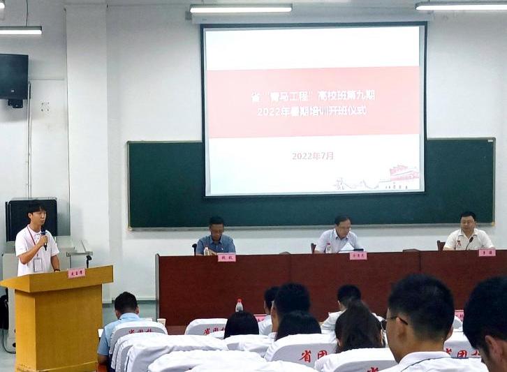 国产精品va在线观看不