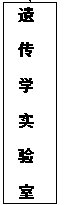 国产精品va在线观看不