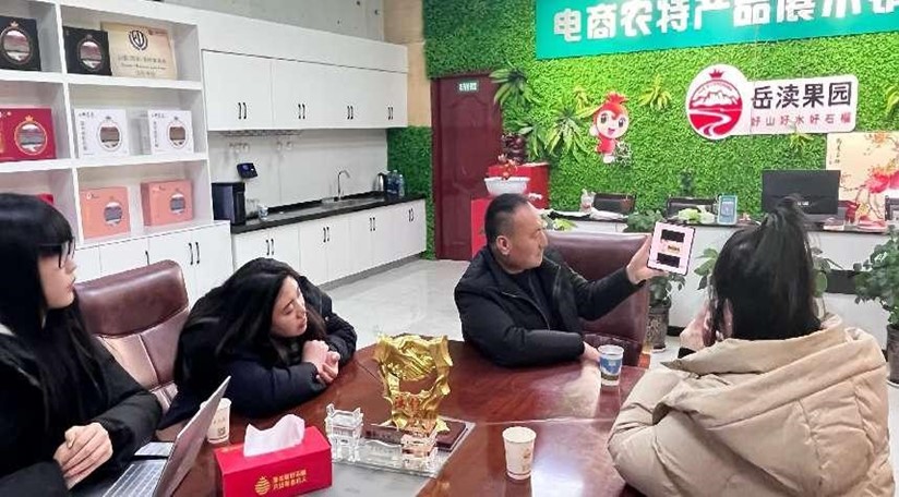 国产精品va在线观看不
