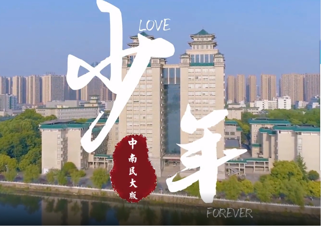 国产精品va在线观看不